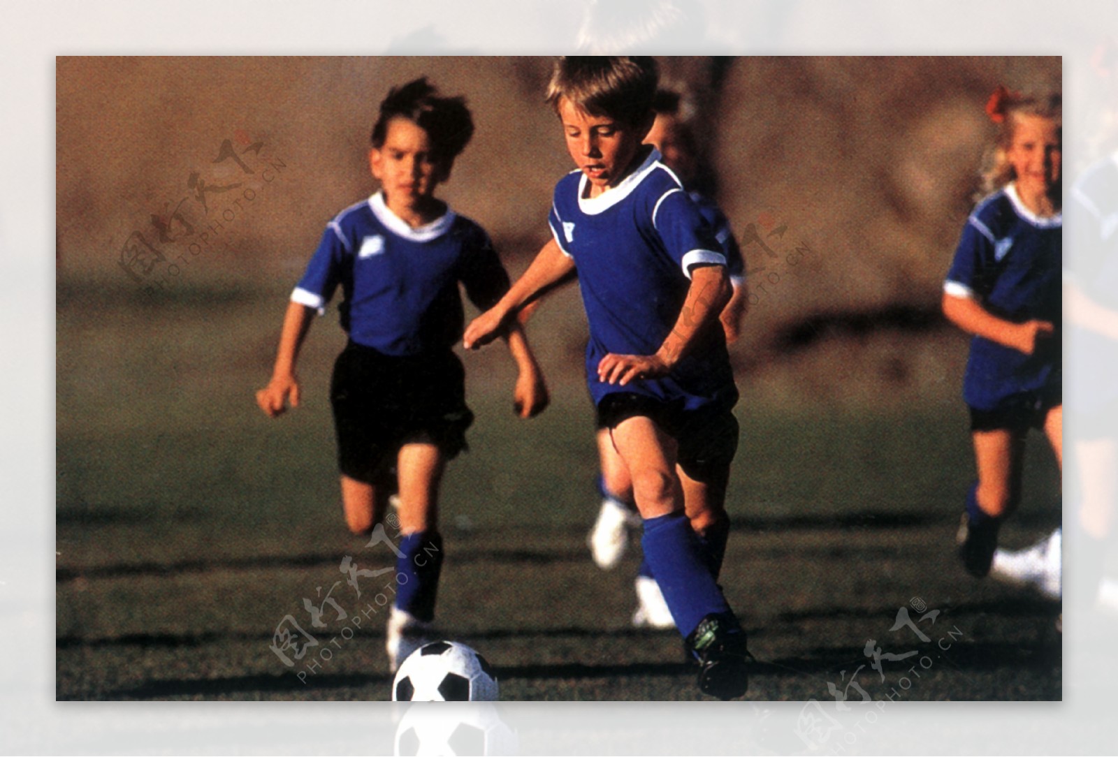 体育圈内掀 体育圈内掀